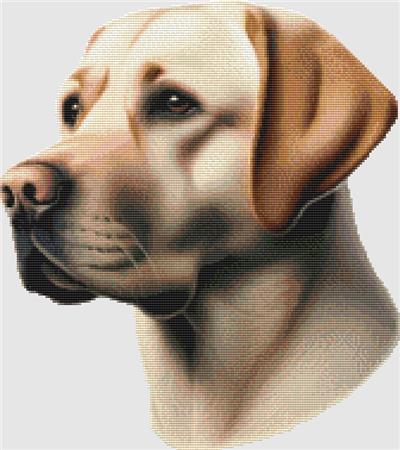 Labrador Retriever - Portrait (Yellow)
