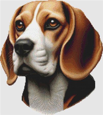 Beagle - Portrait III