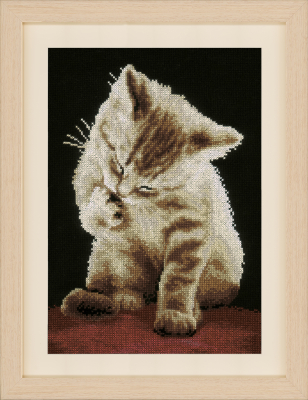 click here to view larger image of Kitten (counted cross stitch kit)
