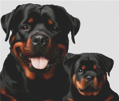 click here to view larger image of Rottweiler Pair (chart)