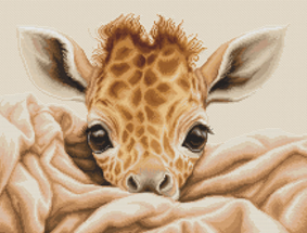 Baby Giraffe, The