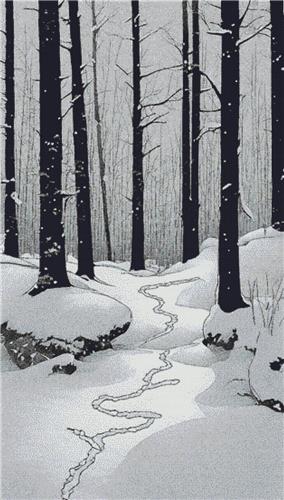 Snowy Forest Scene