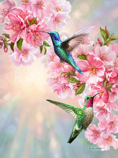 Hummingbirds in Spring - Dona Gelsinger