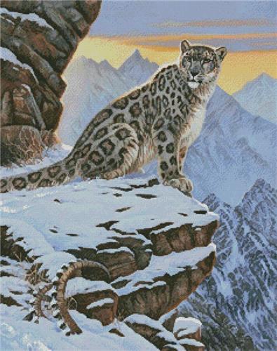 Snow Leopard Mountain