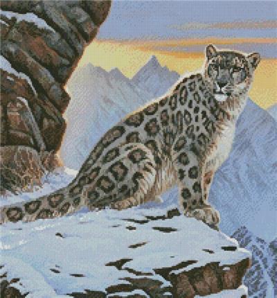 Snow Leopard Mountain (Crop)