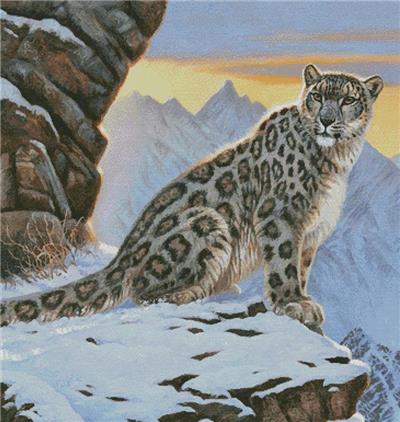 Snow Leopard Mountain (Large Crop)