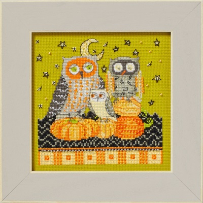 Autumn Owls (2024)