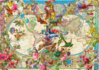 Birds Butterflies and Blooms World Map/Mini - Aimee Stewart