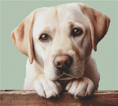 click here to view larger image of Yellow Lab Begging (chart (special))