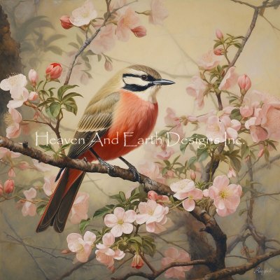 Song Birds I - Roozbeh Bahramali