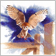 Owl in Flight (chart only)