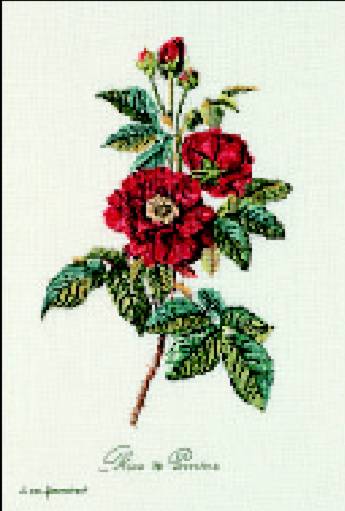 click here to view larger image of Red Roses (counted cross stitch kit)