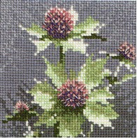 click here to view larger image of Mini Sea Holly  (chart only) (chart)