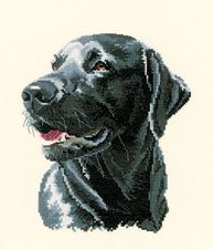click here to view larger image of Chester (counted cross stitch kit)