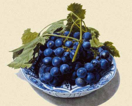 Delft-made Dish with Grapes - Michiel Van Huysum	