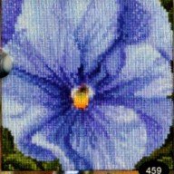 click here to view larger image of Pansy VII (counted cross stitch kit)