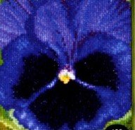 click here to view larger image of Pansy VIII (counted cross stitch kit)
