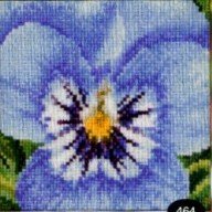 click here to view larger image of Pansy XII (counted cross stitch kit)
