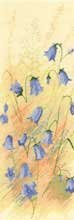 click here to view larger image of Scotch Harebells   - Flower Panels (chart only) (chart)