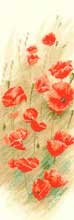 Wild Poppies  - Flower Panels