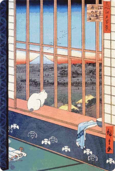 Cat in Window - Scarlet Quince	