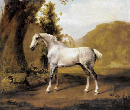 Grey Stallion in a Landscape - George Stubbs	
