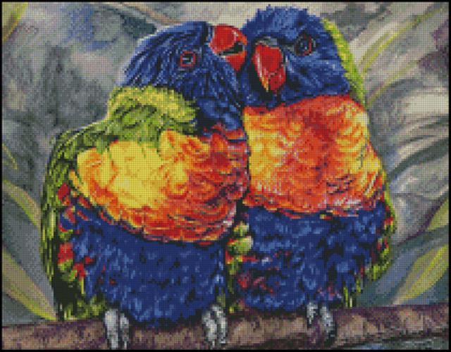 Multi Colored Parrots