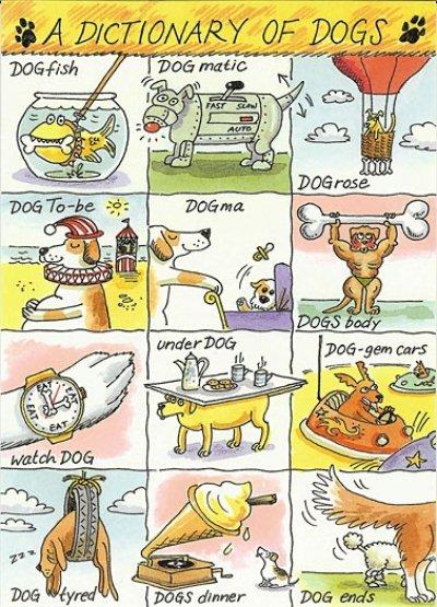 Dictionary of Dogs, A   