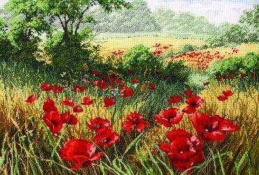 Host of Poppies, A