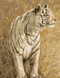 White Light Tiger
