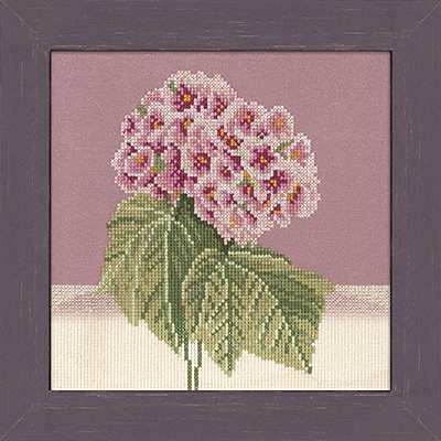 Pink and White Hydrangeas - 27ct