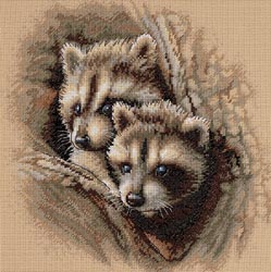 Two Raccoon Cubs   