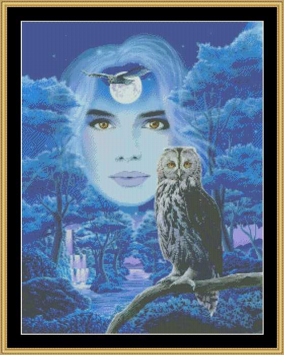 Flight of the Owls - Robin Koni