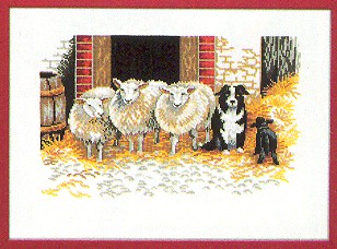 Farm Yard Sheep