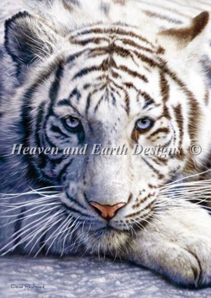 click here to view larger image of White Tiger (chart)