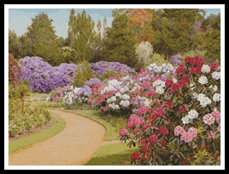 Rhododendron Walk   (George Marks)