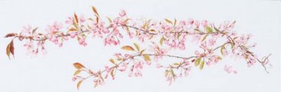 click here to view larger image of Sakura (On White 36ct Linen) (counted cross stitch kit)