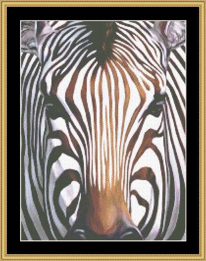 Many Faces Collection - Zebra
