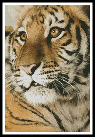 click here to view larger image of Bengal Tiger Cub (chart)