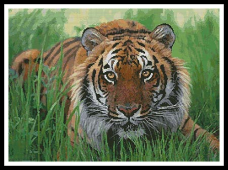 click here to view larger image of Bengal Tiger in Grass (chart)
