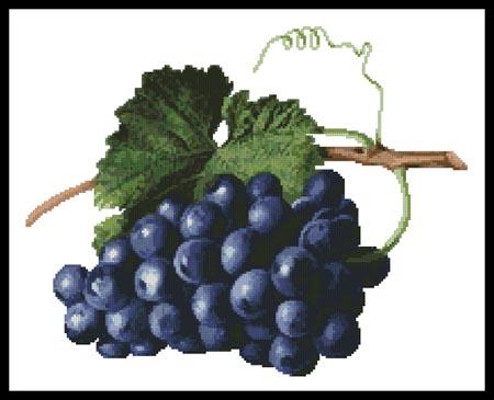 click here to view larger image of Fruit of the Vine  (Augusta Innes Withers) (chart)