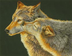click here to view larger image of Wolf Kiss (counted cross stitch kit)