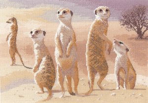 Meerkats - Power and Grace