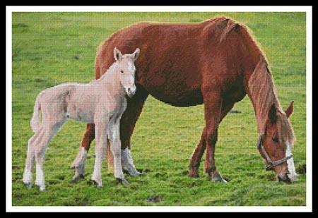 Horse With Foal
