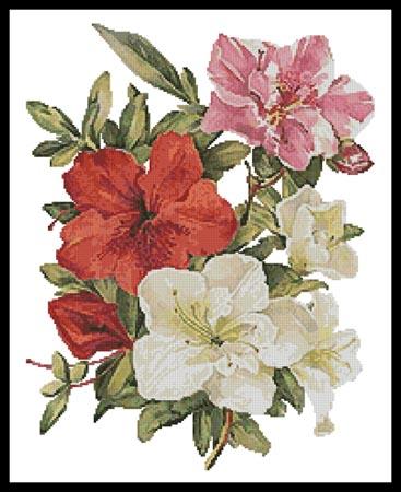 click here to view larger image of Azaleas  (John Wright) (chart)