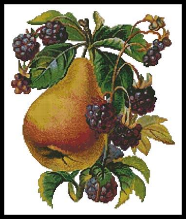Pear and Blackberries