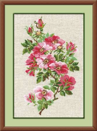 click here to view larger image of May Wild Rose (counted cross stitch kit)