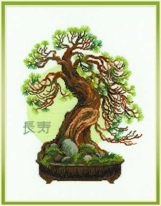 Bonsai Pine Wish of Longevity