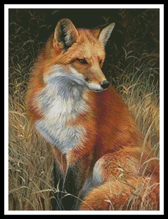 Red Fox Painting  (Joni Johnson Godsy)