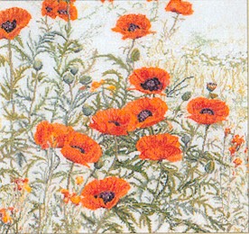Orange Poppies - Linen